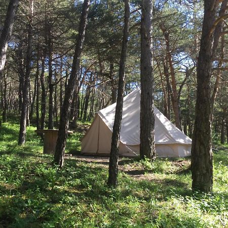 Camping La Chabannerie Otel Saint-Martin-de-Clelles Dış mekan fotoğraf