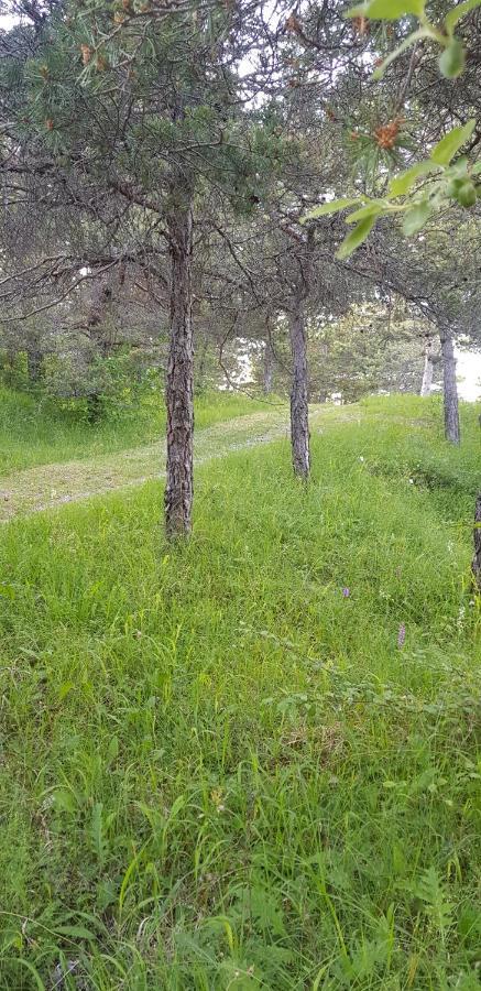 Camping La Chabannerie Otel Saint-Martin-de-Clelles Dış mekan fotoğraf