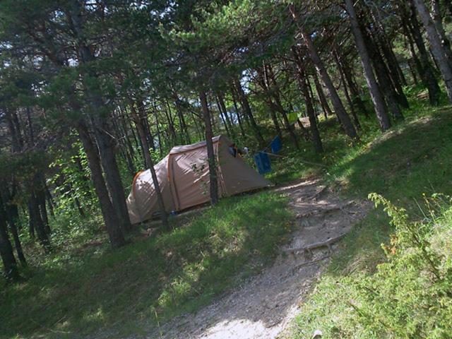 Camping La Chabannerie Otel Saint-Martin-de-Clelles Dış mekan fotoğraf