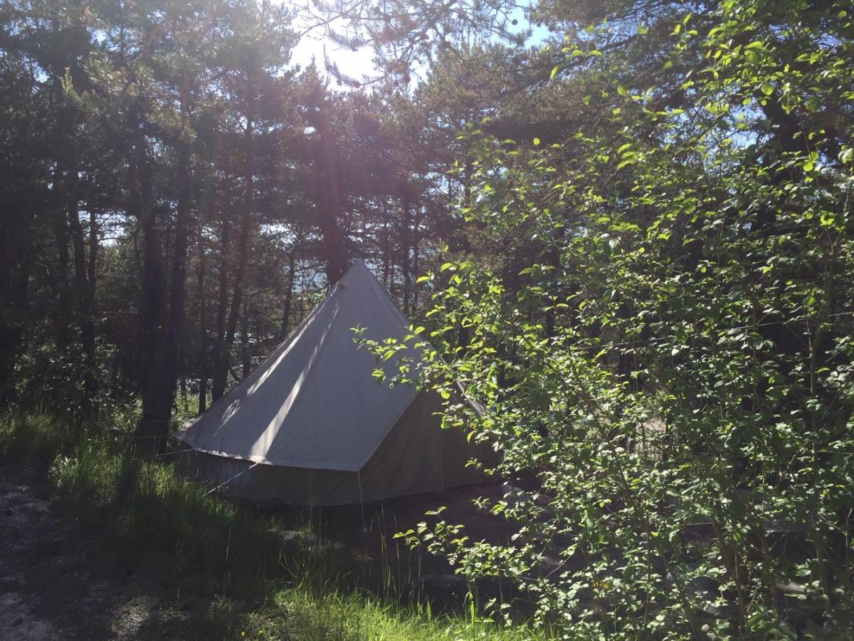 Camping La Chabannerie Otel Saint-Martin-de-Clelles Dış mekan fotoğraf